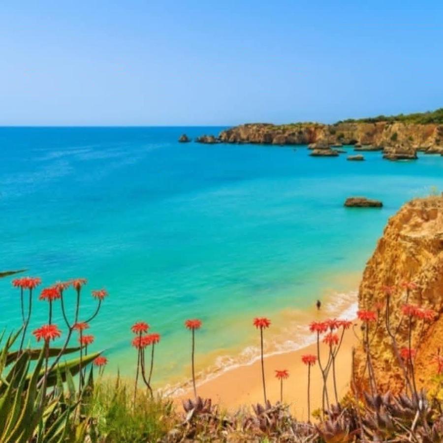 Paraiso De Alvor - A True Paradise In An Amazing Nature Place With Direct Access To The Pool - Peace And Relax - Next To Alvor Village And The Beach 外观 照片